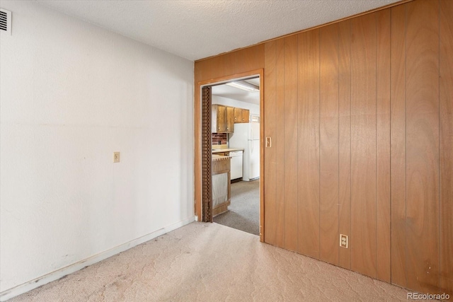 8005 W US Highway 50, Salida, CO 81201 - unfurnished room with carpet, wooden walls, and a textured ceiling