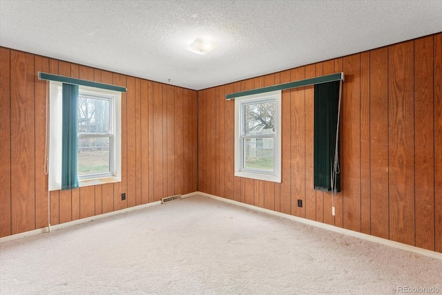 8005 W US Highway 50, Salida, CO 81201 - spare room featuring carpet floors, wooden walls, a textured ceiling, and baseboards
