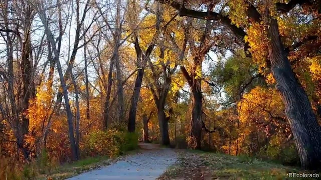 820 Cottonwood Ave, Centennial, CO 80121 - view of property's community featuring a wooded view