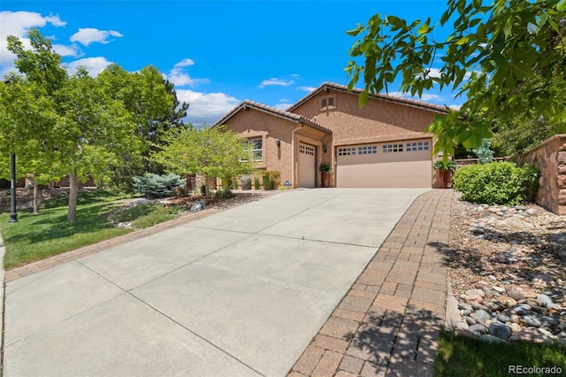 2192 Rocking Horse Ct, Colorado Springs, CO 80921 - photo 1