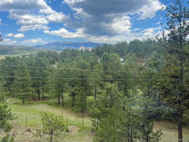 936 Matterhorn Dr, Florissant, CO 80816 - photo 49