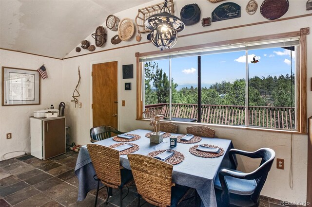 936 Matterhorn Dr, Florissant, CO 80816 - photo 13