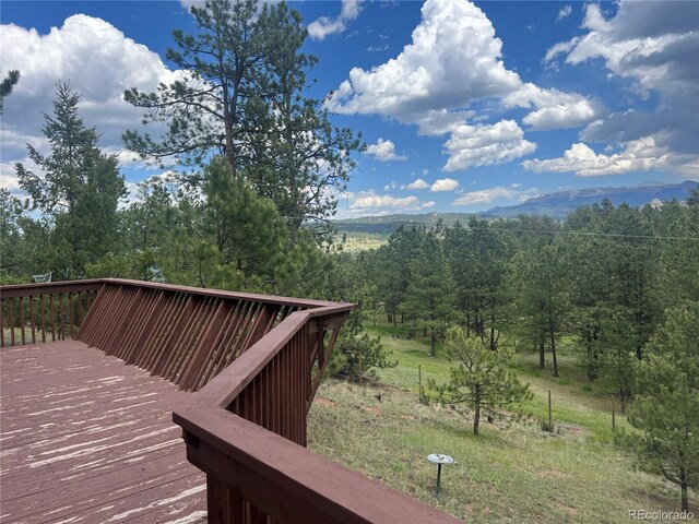 936 Matterhorn Dr, Florissant, CO 80816 - photo 37