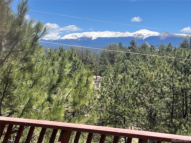 936 Matterhorn Dr, Florissant, CO 80816 - photo 41