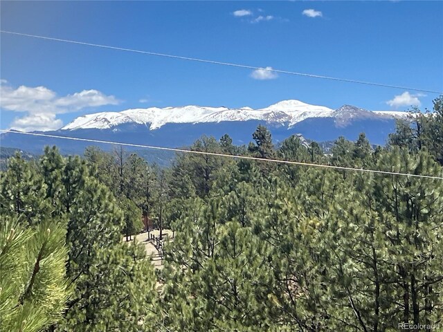 936 Matterhorn Dr, Florissant, CO 80816 - photo 45
