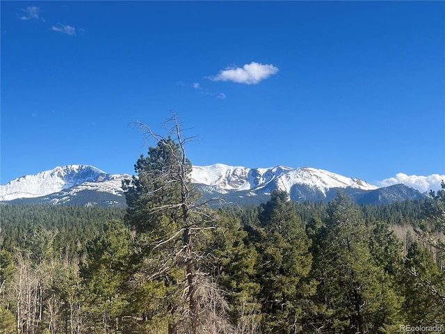 936 Matterhorn Dr, Florissant, CO 80816 - photo 46
