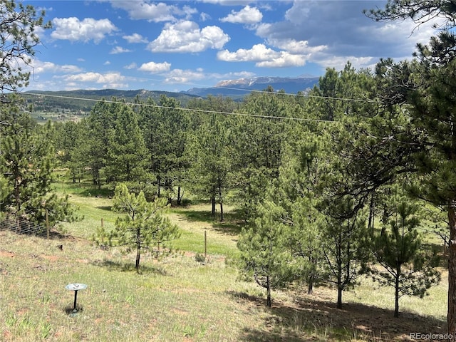 936 Matterhorn Dr, Florissant, CO 80816 - photo 47