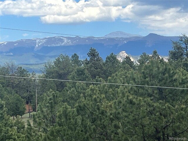 936 Matterhorn Dr, Florissant, CO 80816 - photo 48