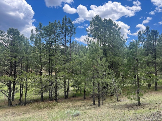 936 Matterhorn Dr, Florissant, CO 80816 - photo 50