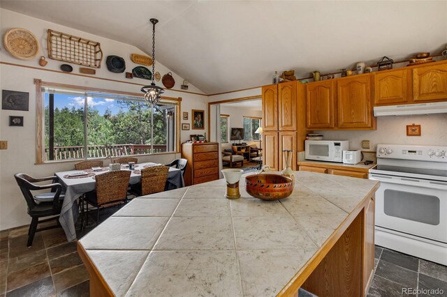 936 Matterhorn Dr, Florissant, CO 80816 - photo 3