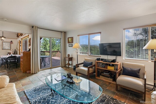 936 Matterhorn Dr, Florissant, CO 80816 - photo 4