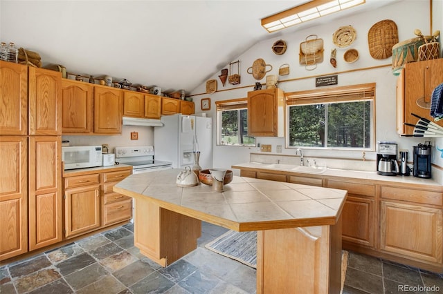 936 Matterhorn Dr, Florissant, CO 80816 - photo 7