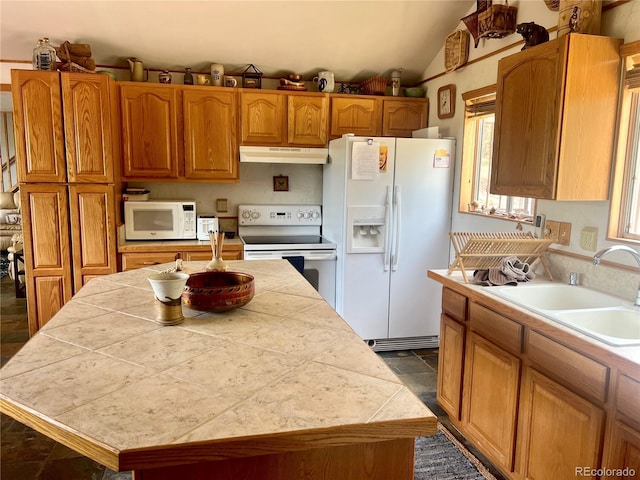 936 Matterhorn Dr, Florissant, CO 80816 - photo 10