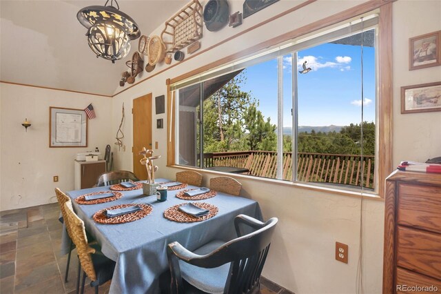 936 Matterhorn Dr, Florissant, CO 80816 - photo 12