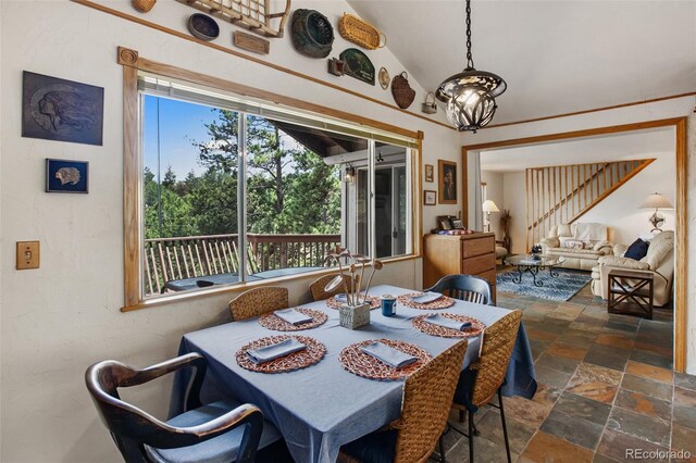 936 Matterhorn Dr, Florissant, CO 80816 - photo 14