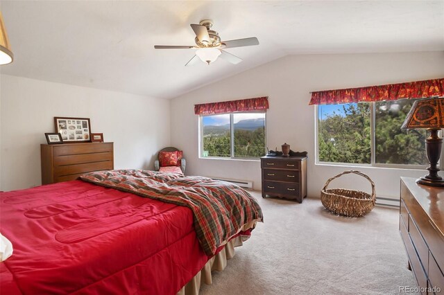 936 Matterhorn Dr, Florissant, CO 80816 - photo 20