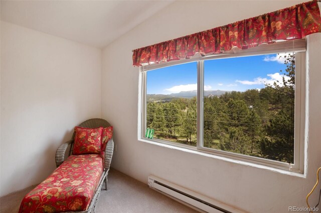 936 Matterhorn Dr, Florissant, CO 80816 - photo 24