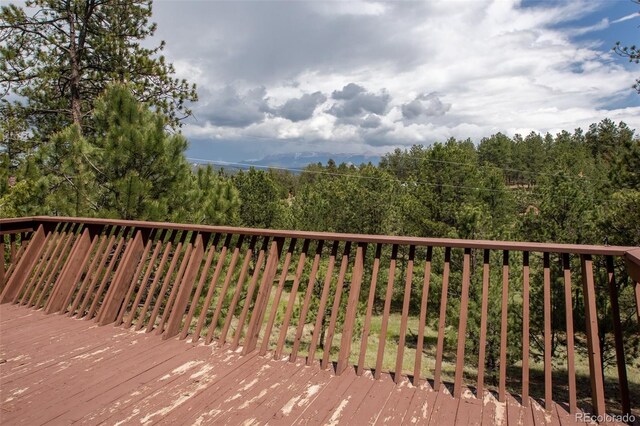 936 Matterhorn Dr, Florissant, CO 80816 - photo 36