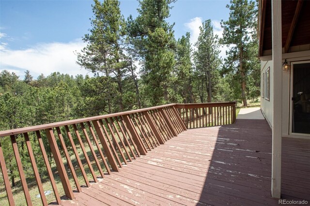 936 Matterhorn Dr, Florissant, CO 80816 - photo 38