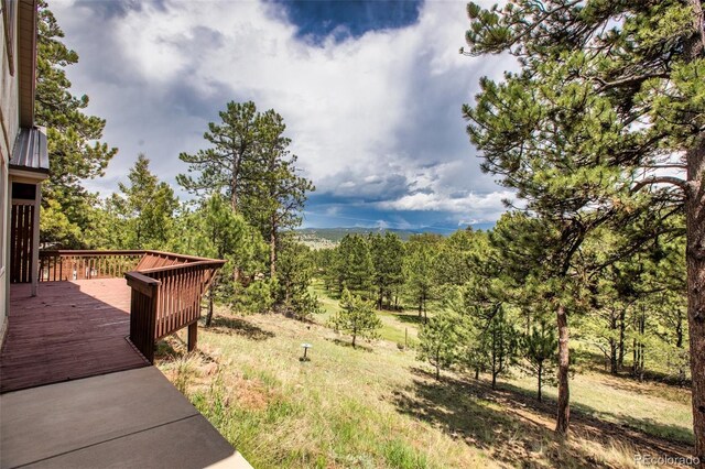 936 Matterhorn Dr, Florissant, CO 80816 - photo 39