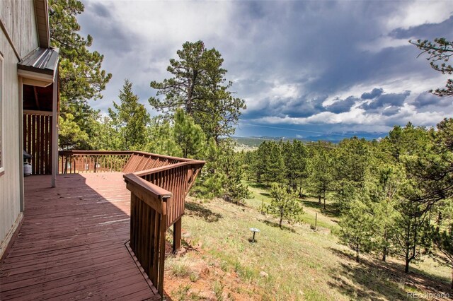 936 Matterhorn Dr, Florissant, CO 80816 - photo 40