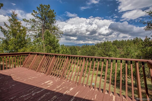 936 Matterhorn Dr, Florissant, CO 80816 - photo 42