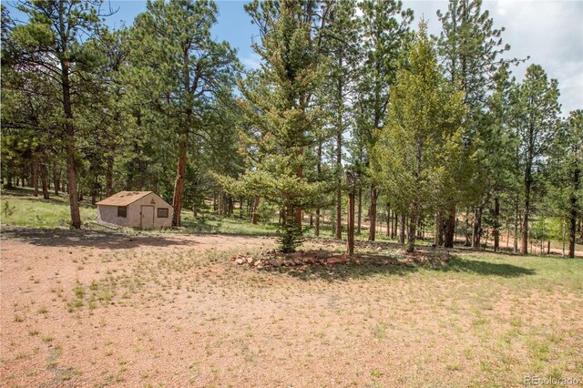 936 Matterhorn Dr, Florissant, CO 80816 - photo 44
