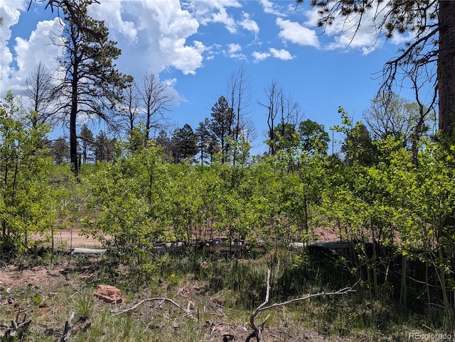 925 Forbes Park Rd, Fort Garland, CO 81133