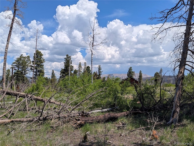 925 Forbes Park Rd, Fort Garland, CO 81133