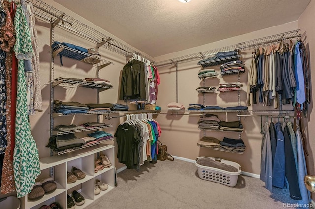 1120 N Calhan Ave, Castle Rock, CO 80104 - walk in closet with carpet