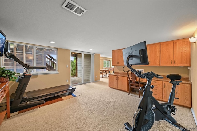 1120 N Calhan Ave, Castle Rock, CO 80104 - workout area featuring light carpet and recessed lighting
