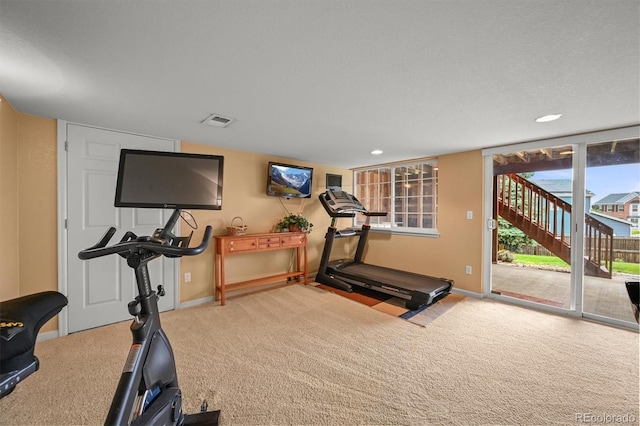 1120 N Calhan Ave, Castle Rock, CO 80104 - workout room featuring carpet, baseboards, and recessed lighting