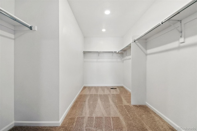 spacious closet with light colored carpet