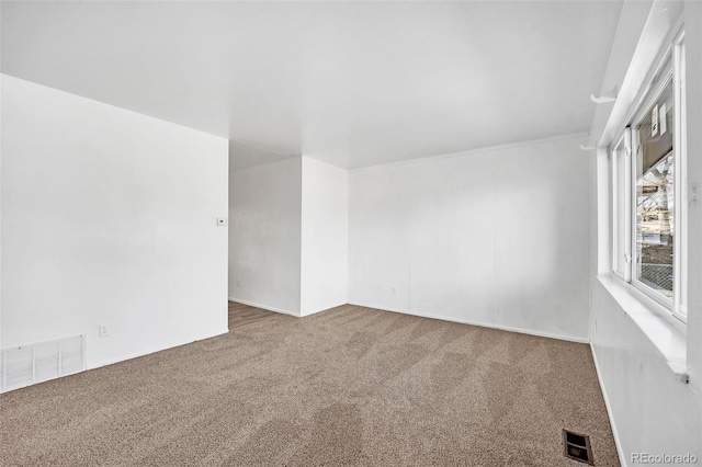 empty room featuring carpet