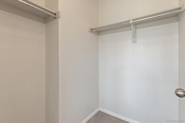 10773 Belle Creek Blvd, Commerce City, CO 80640 - photo 17
