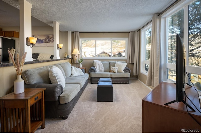 carpeted living room featuring a textured ceiling