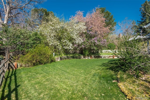 view of yard