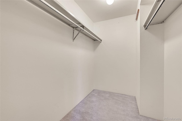1830 S Pitkin Cir Unit B, Aurora, CO 80017 - walk in closet with carpet flooring