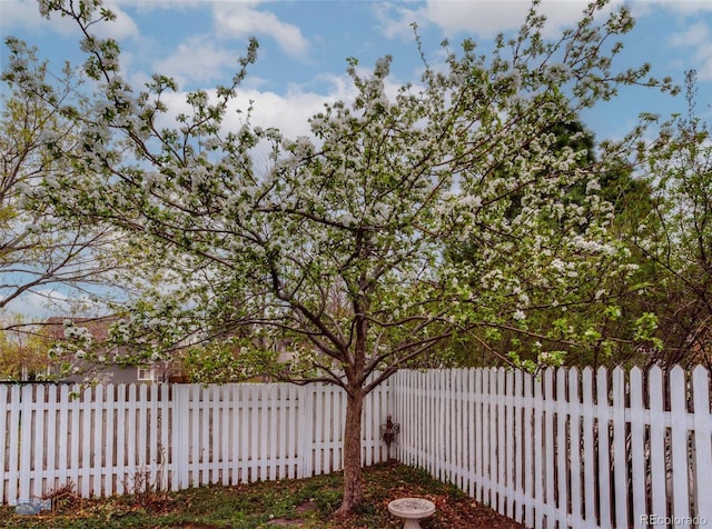 4921 Fountain St, Boulder, CO 80304 - photo 21