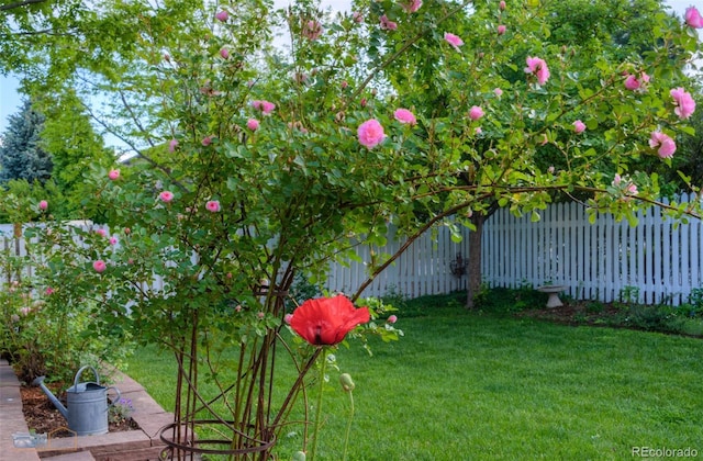 4921 Fountain St, Boulder, CO 80304 - photo 17