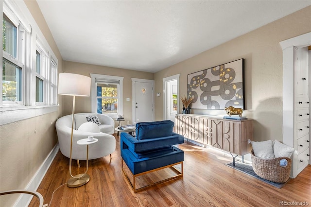 sitting room featuring hardwood / wood-style flooring