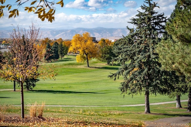 view of home's community with a lawn and a mountain view