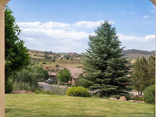 17121 Snow Creek Ln, Morrison, CO 80465 - view of green lawn featuring a mountain view