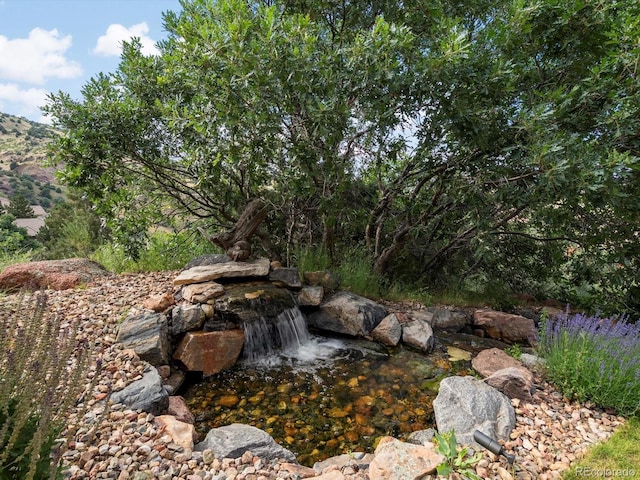 17121 Snow Creek Ln, Morrison, CO 80465 - view of yard