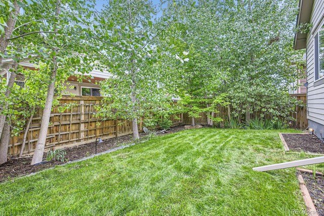 853 Jenny Ln, Berthoud, CO 80513 - view of yard