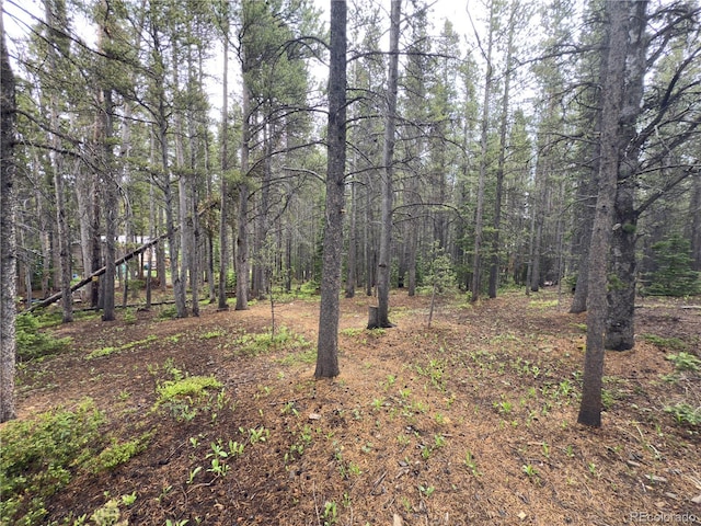 LOT285 Lower Forest Rd, Idaho Springs, CO 80452 - photo 1