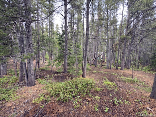 LOT285 Lower Forest Rd, Idaho Springs, CO 80452 - photo 2