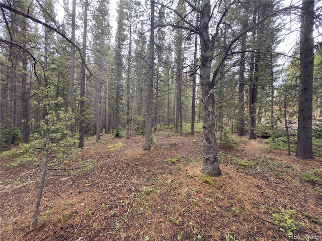 LOT285 Lower Forest Rd, Idaho Springs, CO 80452 - photo 3