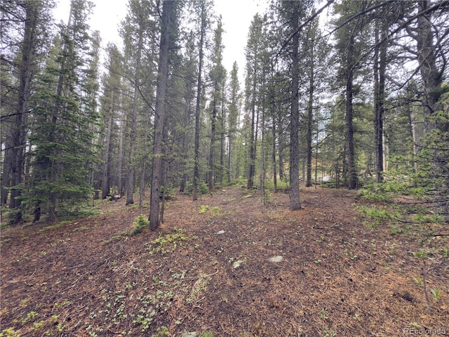 LOT285 Lower Forest Rd, Idaho Springs, CO 80452 - photo 4