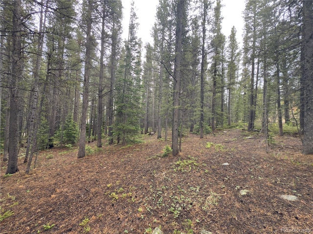 LOT285 Lower Forest Rd, Idaho Springs, CO 80452 - photo 5